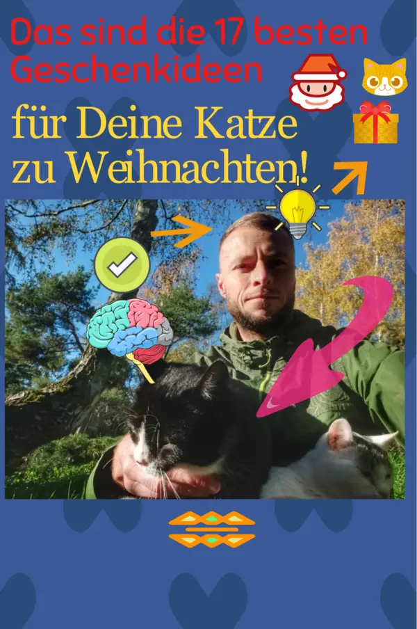 Infografik. Pfeile die zeigen wie ich mich in das Gehirn meiner Katze hacke.