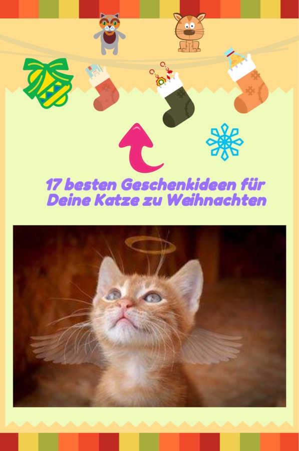 infografik Die 17 besten Geschenkideen für Deine Katze zu Weihnachten